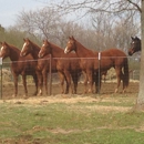 Whispering Pines - Stables