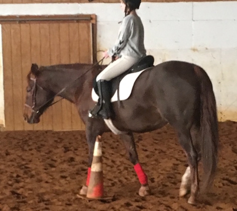 Cornerstone Equestrian - Hillsborough, NJ