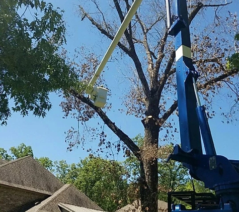 Mr. Green Jeans Tree Service - Pineville, LA