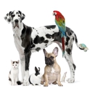 Abbott Animal Clinic - Veterinary Clinics & Hospitals