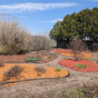 Pear Tree Nursery & Garden Center