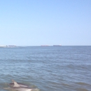 Coastal SUP Tours - Amusement Places & Arcades