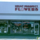 Mt Prospect Flowers - Florists