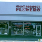 Mount Prospect Flowers