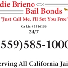 Eddie Brieno Bail Bonds