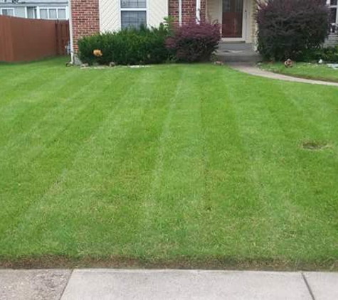 P's Residential Lawn Care - Florissant, MO