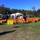 Georgia Apple Festival