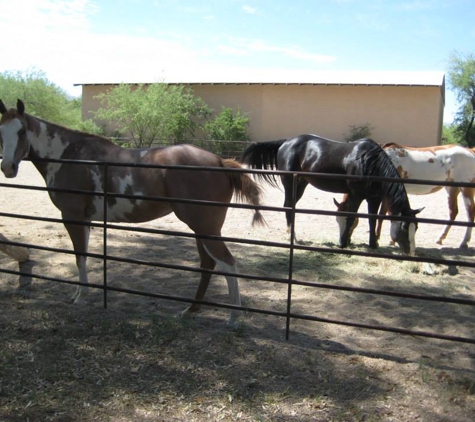 Mesquite Oasis Ranch - Tucson, AZ