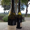 Copain Wine Cellars gallery