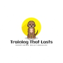 Training That Lasts - Dog Training
