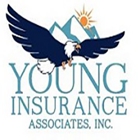 Young Insurance Associates, Inc