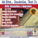 Pacific Insulation & Mold Remediation - Mold Remediation