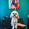 Hope Animal Clinic gallery