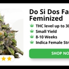 Kind Seed Co