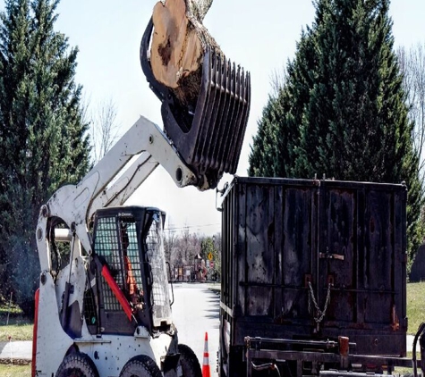 Alaska Hydro Ax Land Clearing - Anchorage, AK