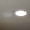 Insight Pest Solutions - Pest Control Services
