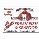 Superior Lobster & Seafood - Seafood Restaurants