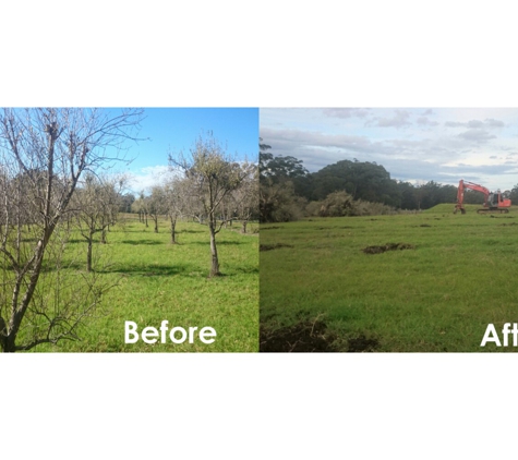 White's Dozing & Transport Pty Ltd - Camden, NSW