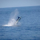 Hound Dog Fishing Charters - Boat Rental & Charter
