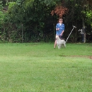 Hearts & Paws - Dog Training