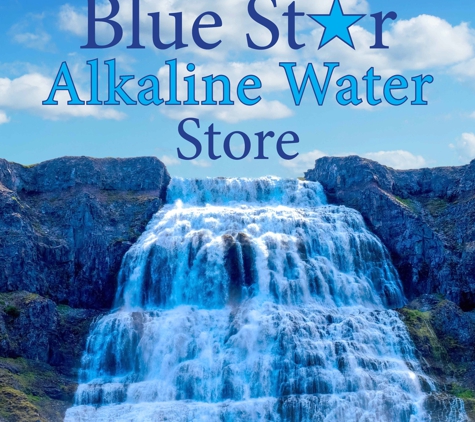 Blue Star Alkaline Water Store Health Market - Austin, TX