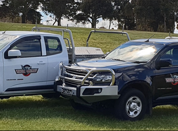 Australian Pigeon Control Pty Ltd