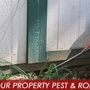 Lee's Termite & Pest Control