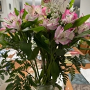 Domenic Graziano Flowers & Gifts - Flowers, Plants & Trees-Silk, Dried, Etc.-Retail