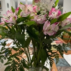 Domenic Graziano Flowers & Gifts