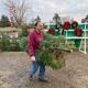 Medina Christmas Tree Farm