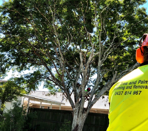 All Tree And Palm Trimming And Removal