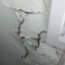 Target Pest Control - Termite Control