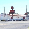 Seafood Cove gallery