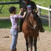 Marmon Valley Farm gallery