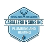 Caballero & Sons Inc gallery