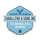 Caballero & Sons Inc - Water Heaters