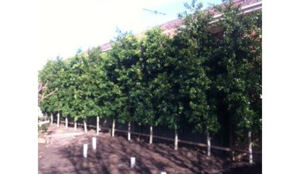 Gill's Nursery - Cheltenham, VIC