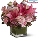 Amman Flowers - Florists