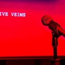 Creative Veins - Theatres