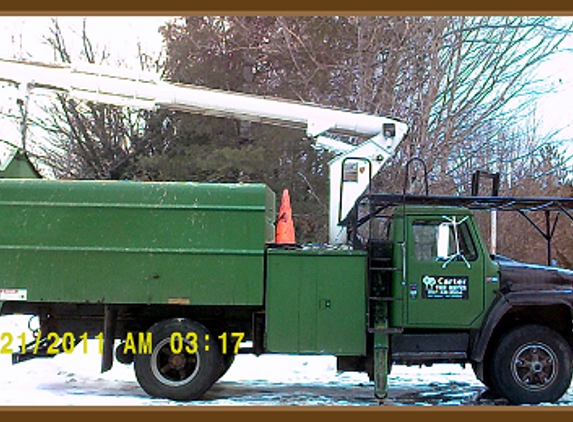 Carter Tree Service - Norridgewock, ME