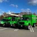 Top Notch Tree, Inc. - Tree Service