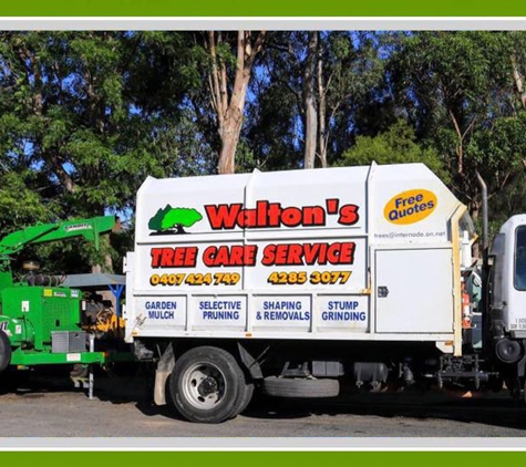 Walton's Tree Care Services. We Have Over 20 Years Of Experience In The Tree Business