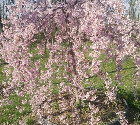 Wat Mongkoltepmunee - Bensalem, PA