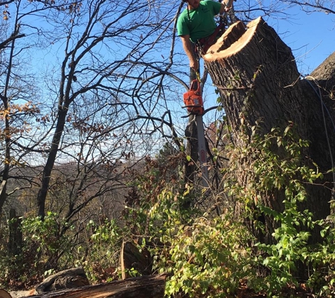 Great Dane Tree Experts & Landscaping, LLC - Ashley, OH. Tree Removal Delaware, Ohio