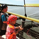 Pirates of Hilton Head - Tourist Information & Attractions