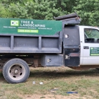 DC Tree and Landscaping Services