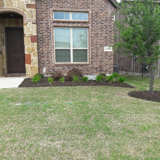 Terra Turf Landscape - Plano, TX