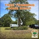 Pro Care Tree Specialist - Tree Service