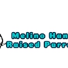 Melino Hand Raised Parrots gallery
