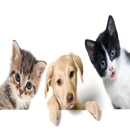 Companion Pet Clinic - Salmon Creek - Veterinarians